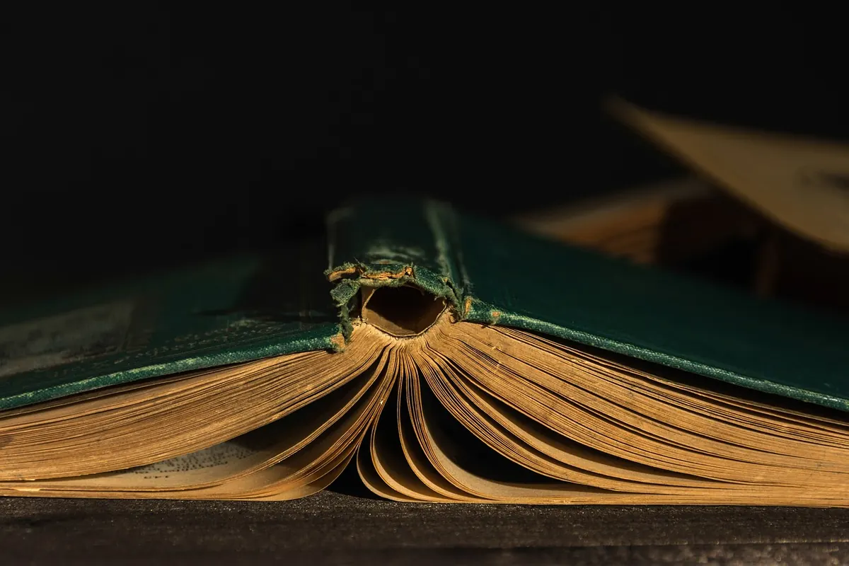 How to Write a Book Review That Editors Will Publish